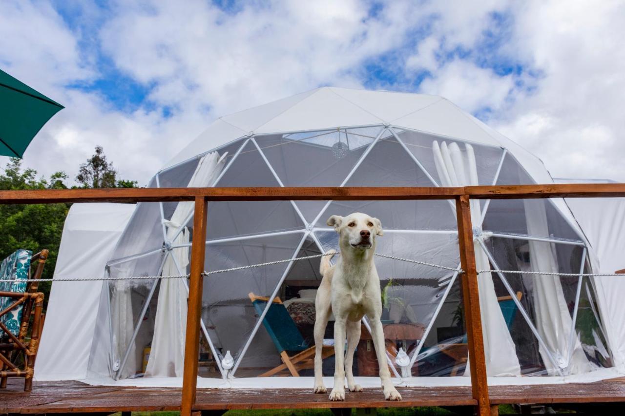 Glamping Claro De Luna Guatavita Extérieur photo